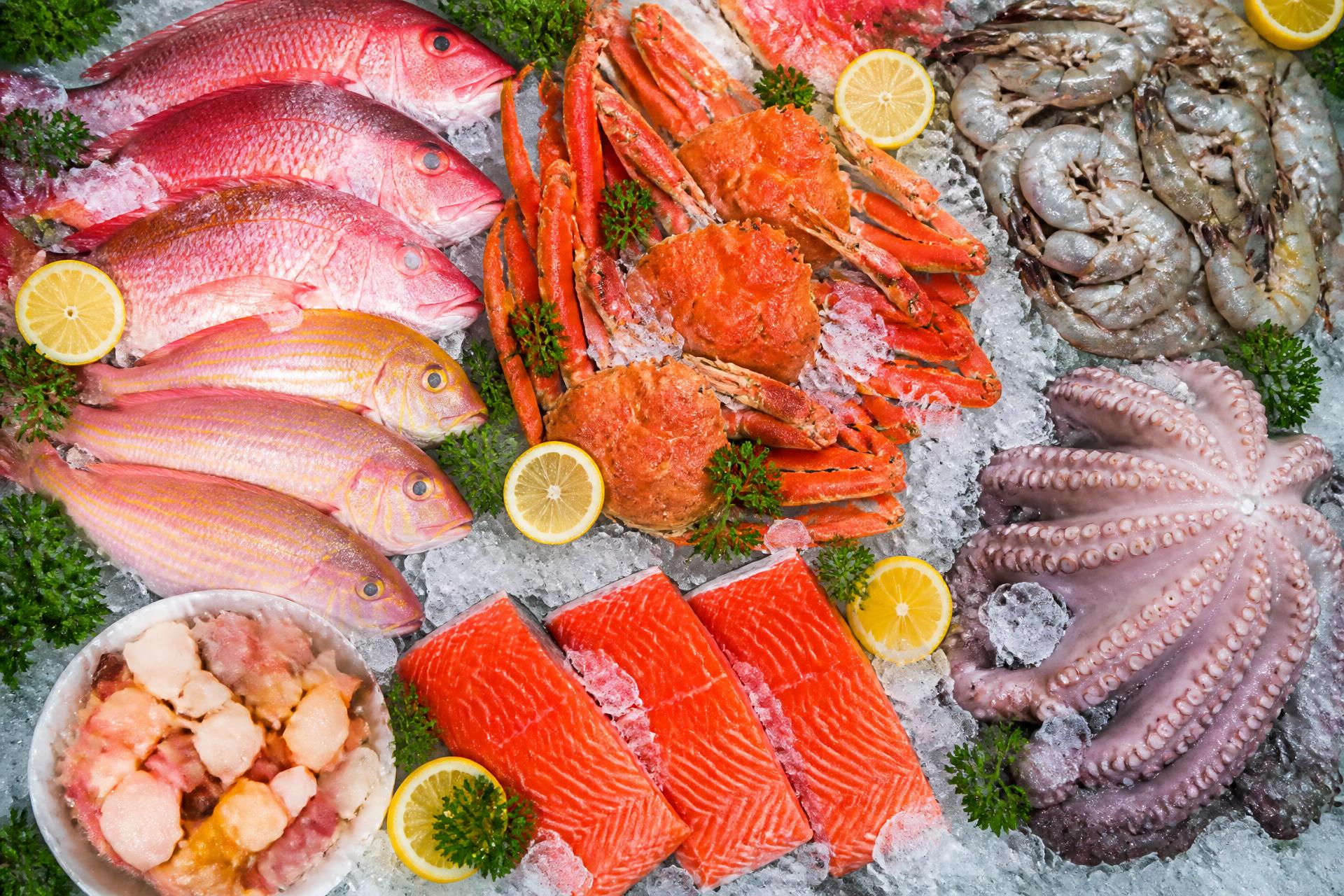 Premium seafood market spread — whole snapper, snow crab, shrimp, octopus, salmon and shellfish on ice